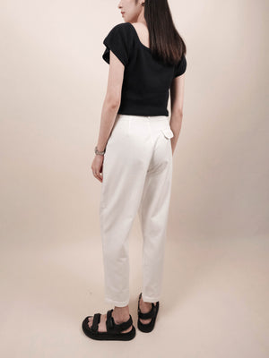 (2 COLORS) PILE PLEAT PANTS